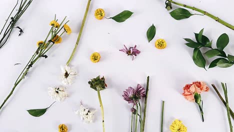 arreglo de flores secas sobre fondo blanco