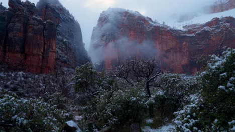 Eine-Dunkle-Aufnahme-Der-Bäume,-Die-Unter-Den-Schneebedeckten-Bergen-Im-Zion-Nationalpark-Wachsen