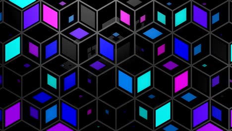 el fondo del rombo