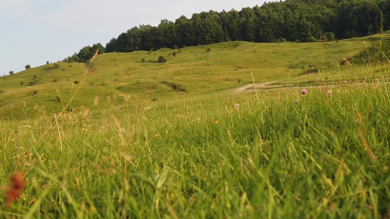 caminando por la hierba al mediodía con una vista espléndida