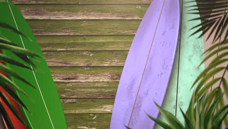 closeup surfing boards and tropical leaves with summer background 2