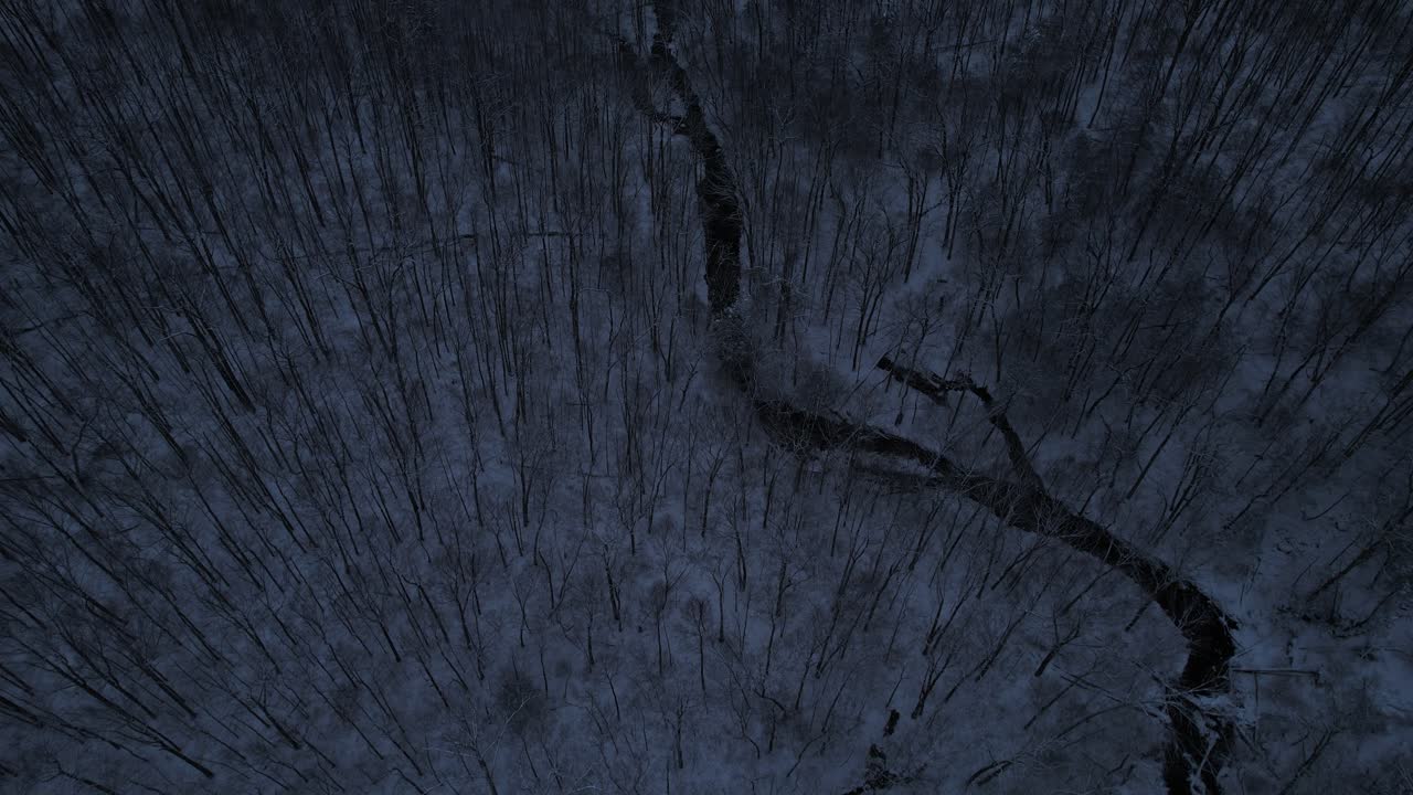 imágenes de video de drones aéreos de arriba hacia abajo de un hermoso arroyo de bosque nevado y bosque por la noche