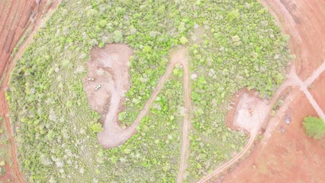 Smart agriculture technology- Aerial drone view of avocado farm in Kenya