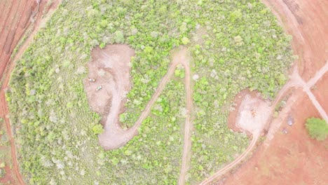 smart agriculture technology- aerial drone view of avocado farm in kenya