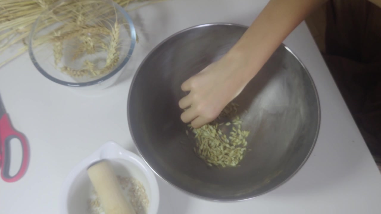 Una ripresa dall'alto mostra mani che strofinano chicchi di grano raccolto all'interno di una grande ciotola in acciaio inossidabile per separare la pula e le bucce dai chicchi grezzi durante la tradizionale lavorazione post-raccolta.