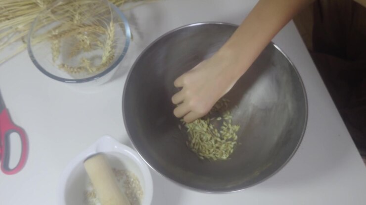 Una ripresa dall'alto mostra mani che strofinano chicchi di grano raccolto all'interno di una grande ciotola in acciaio inossidabile per separare la pula e le bucce dai chicchi grezzi durante la tradizionale lavorazione post-raccolta.