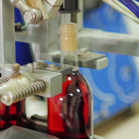 botellas de vino tinto se mueven en una cinta transportadora 12