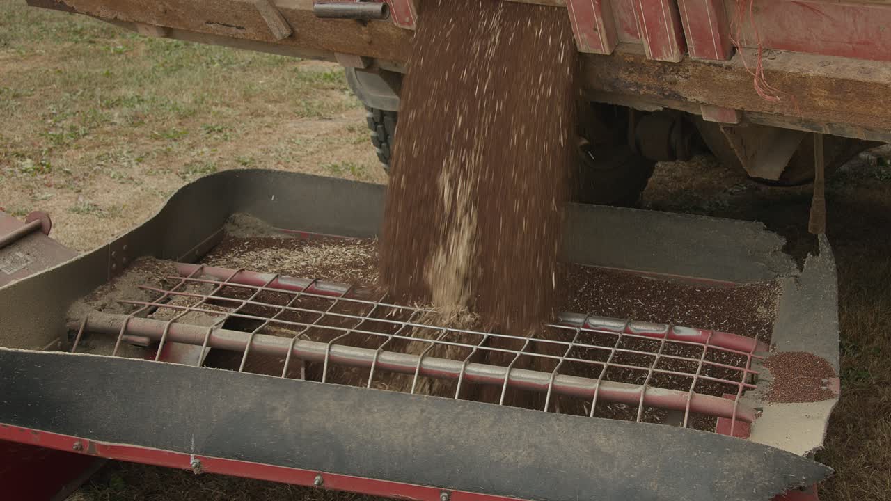 Trasferimento di canola da un camion in un contenitore con una coclea per cereali al rallentatore