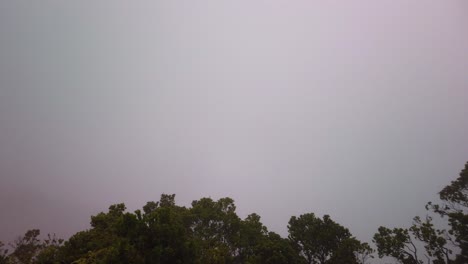 Gimbal-panning-shot-looking-down-at-the-thick-fog-covering-the-Na-Pali-Coast-from-the-top-of-Waimea-Canyon-in-Kaua'i,-Hawai'i