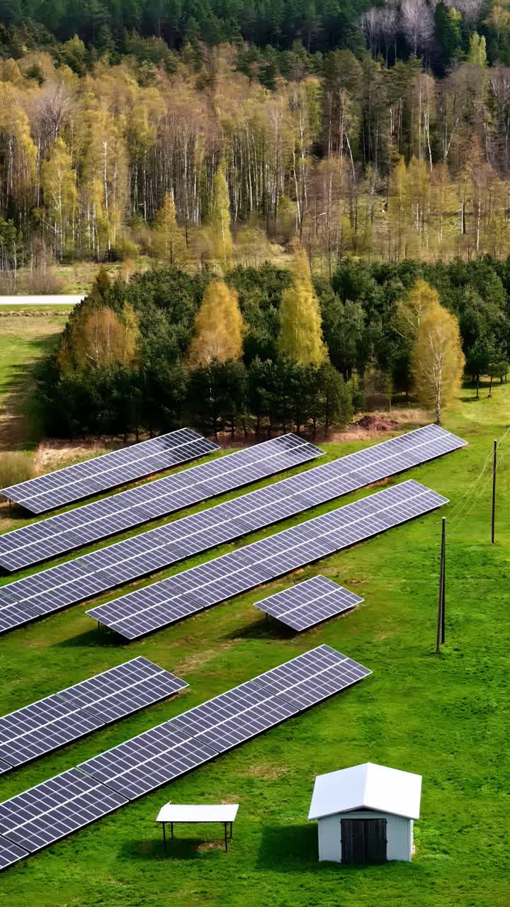 Autumn colored forest and solar panels in green meadow, aerial vertical view