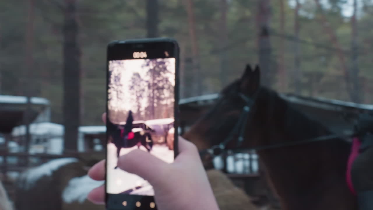 escena invernal con caballos, jinete en un paisaje invernal helado y nevado, fotograma vertical que captura al jinete y al corcel en un silencio invernal, vídeo que muestra al jinete y al caballo en medio de un campo nevado y helado
