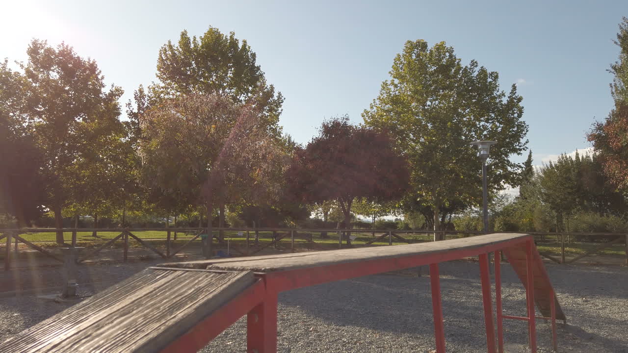 Young man playing and training with a dog. Brown boxer dog