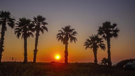 Amanecer-Dorado-Brillante-Con-Un-Sol-Ardiente-Saliendo-Entre-Palmeras-En-Una-Playa-En-Chipre---Lapso-De-Tiempo