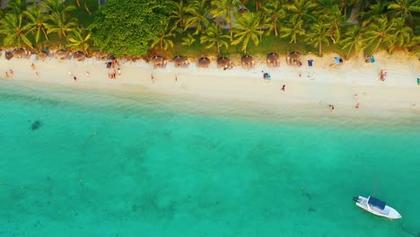 palm trees on the sandy beach and turquoise ocean from above