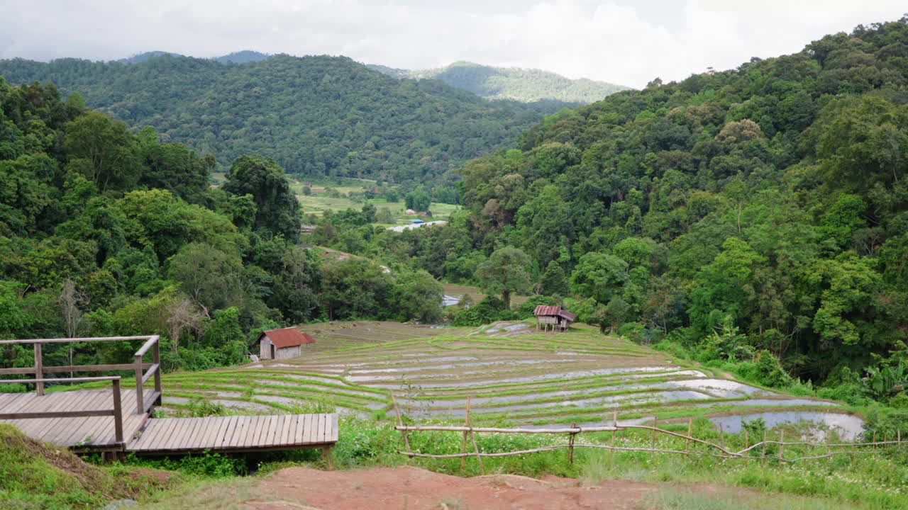 울창한 숲으로 둘러싸인 테라스 의 조용한 풍경