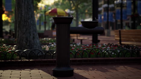 quiet-city-park-with-trees-and-benches