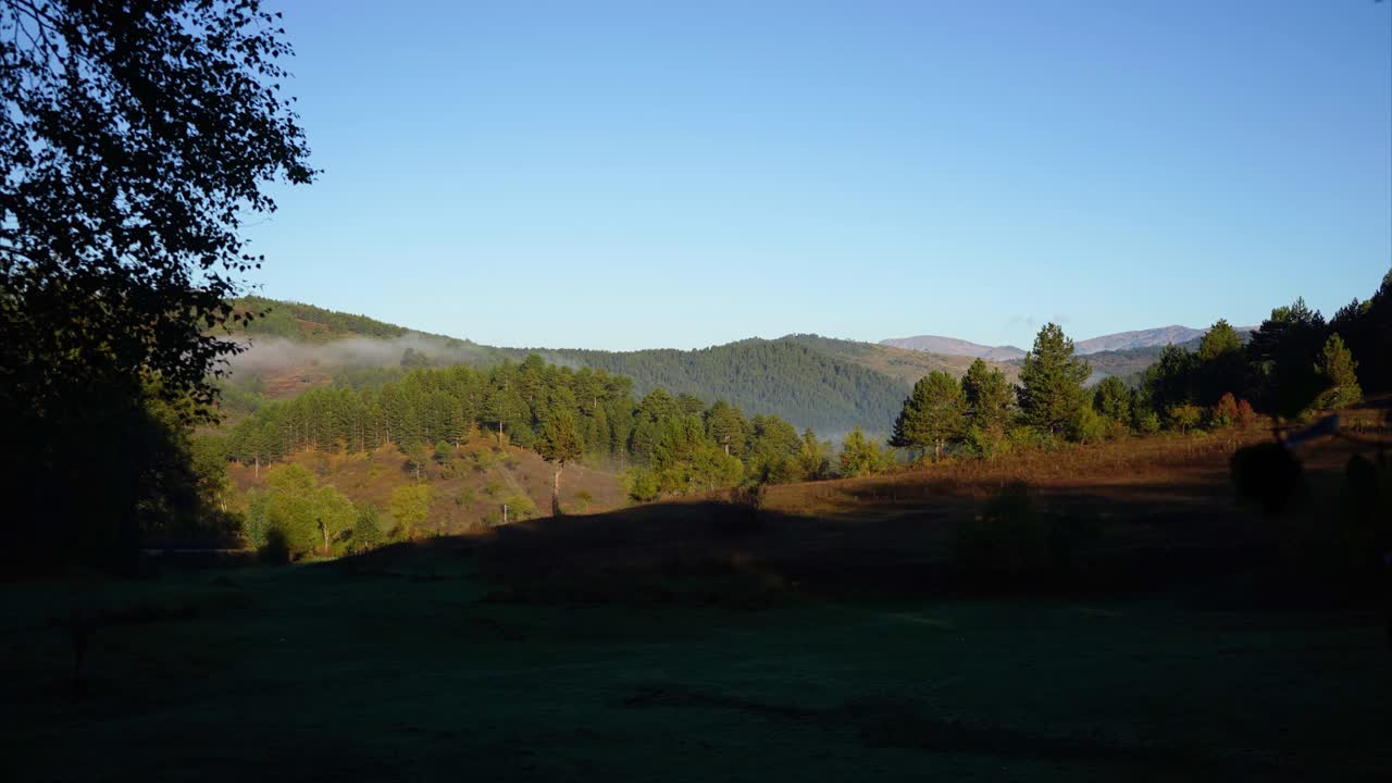 4k timelapse of fog moving among trees and disappearing after sunrise, early morning