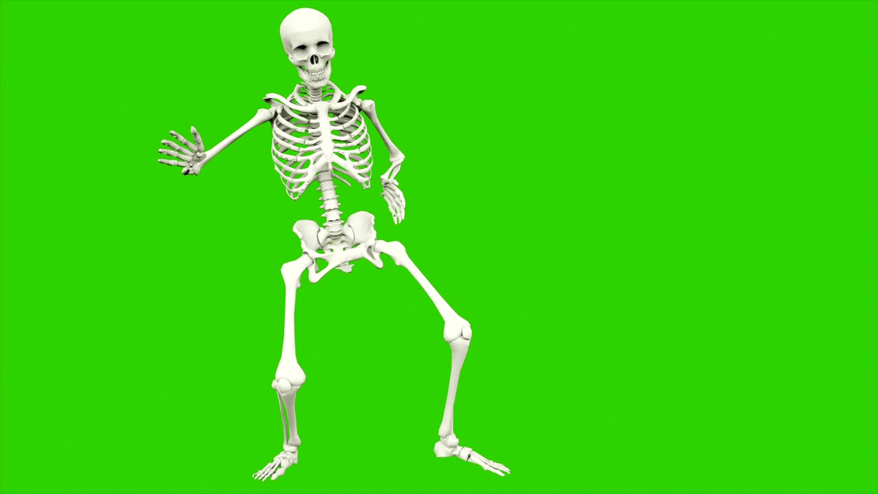 danza dello scheletro. animazione a loop senza soluzione di continuità sullo schermo verde.