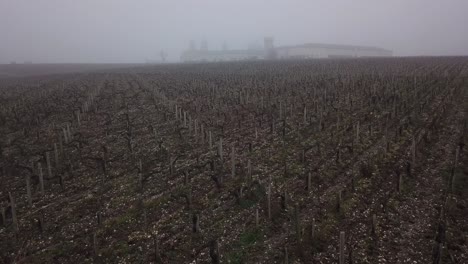 Kahle-Weinreben-An-Einem-Nebligen-Wintertag-Mit-Dem-Schloss-Cos-D&#39;Estournel-Im-Hintergrund,-Bordeaux-In-Frankreich