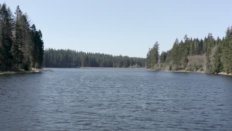 hiking along beautiful lakes in the harz national park in germany, europe