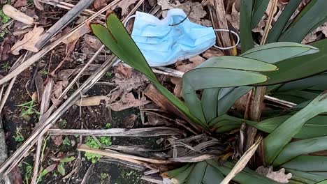mascarilla protectora azul tirada en el monte