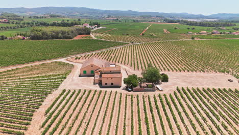 imágenes de drones: dando vueltas alrededor de una hermosa villa rodeada de exuberantes viñedos en un día soleado