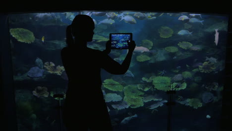 Young-woman-at-the-oceanarium-take-pictures-of-fish