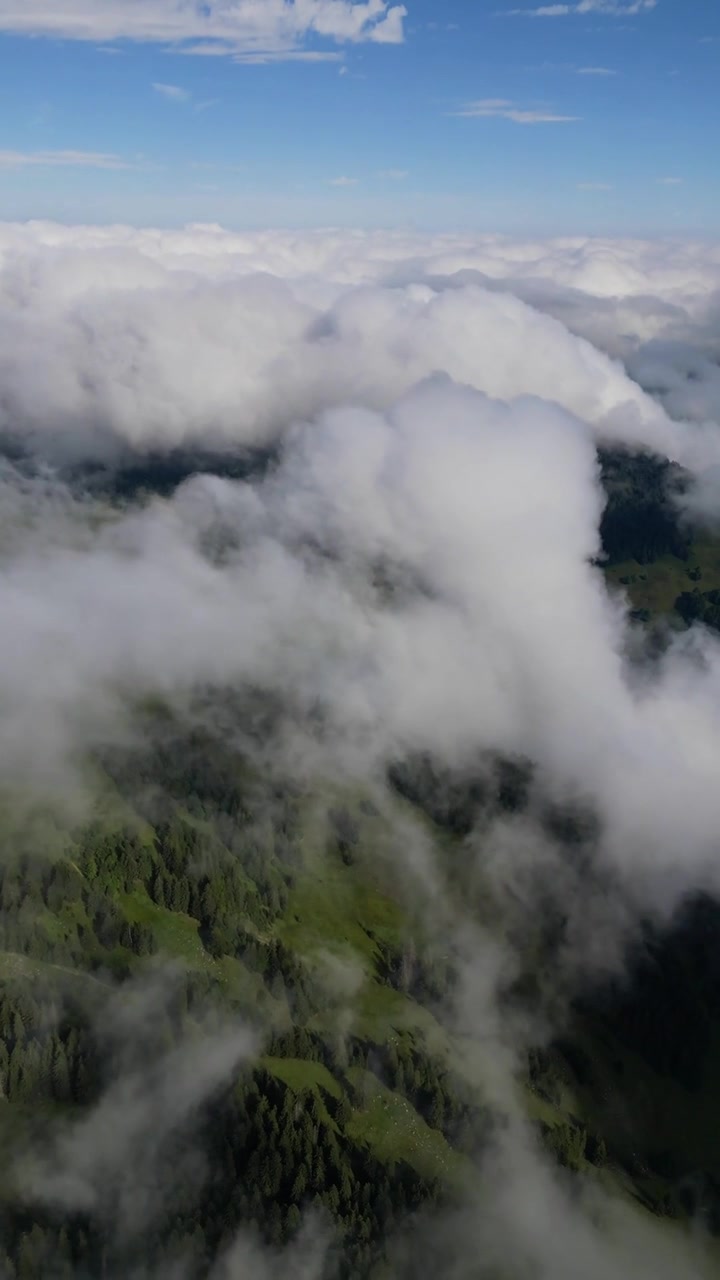 Rolling hills covered in low level clouds Switzerland alpine region, aerial drone vertical video
