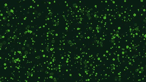 green floral pattern