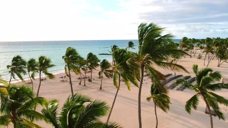 tropical beach, palm trees swaying in wind, people, unrecognizable sunbathing on chairs, tranquil seascape, aerial view