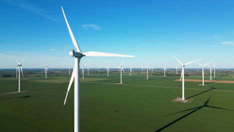 wind turbines in a green field