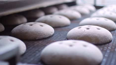 Produktionslinie-Für-Bäckereimühlen.-Brotlaibe-Auf-Dem-Förderband