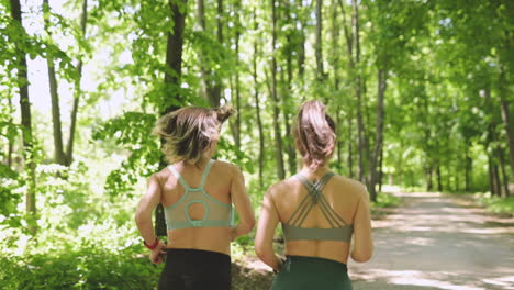 back view of two sportswomen running in the woods 3