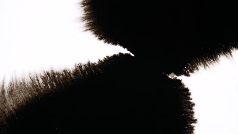 black ink drops on white background