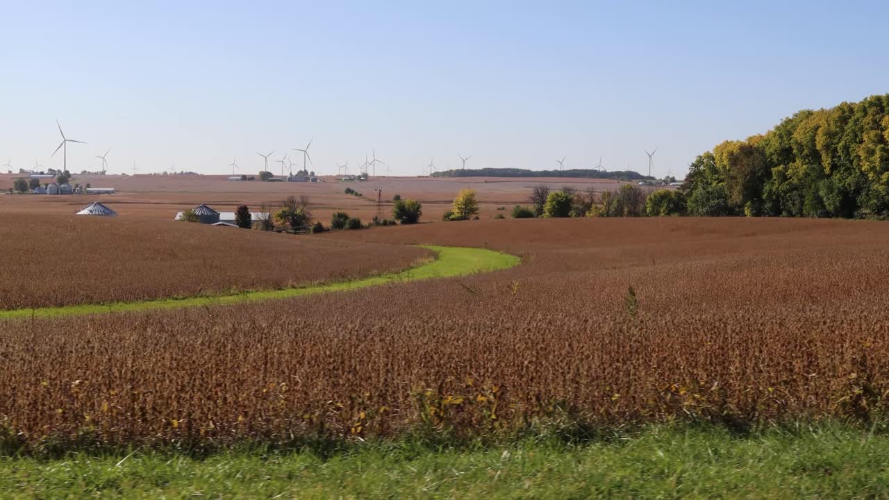 POV from drivers window of ripe soybean field with timber, farmyard and wind turbines in the distance