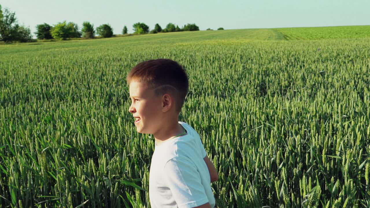 Little boy running on wheat grass crop. Slow motion