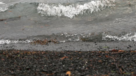 waves splashing on the rocky shore in lake crescent, washington, usa - close up shot