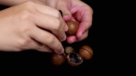 Hands cracking and revealing macadamia nuts