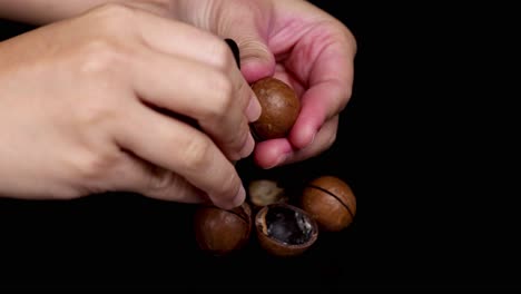 hands cracking and revealing macadamia nuts