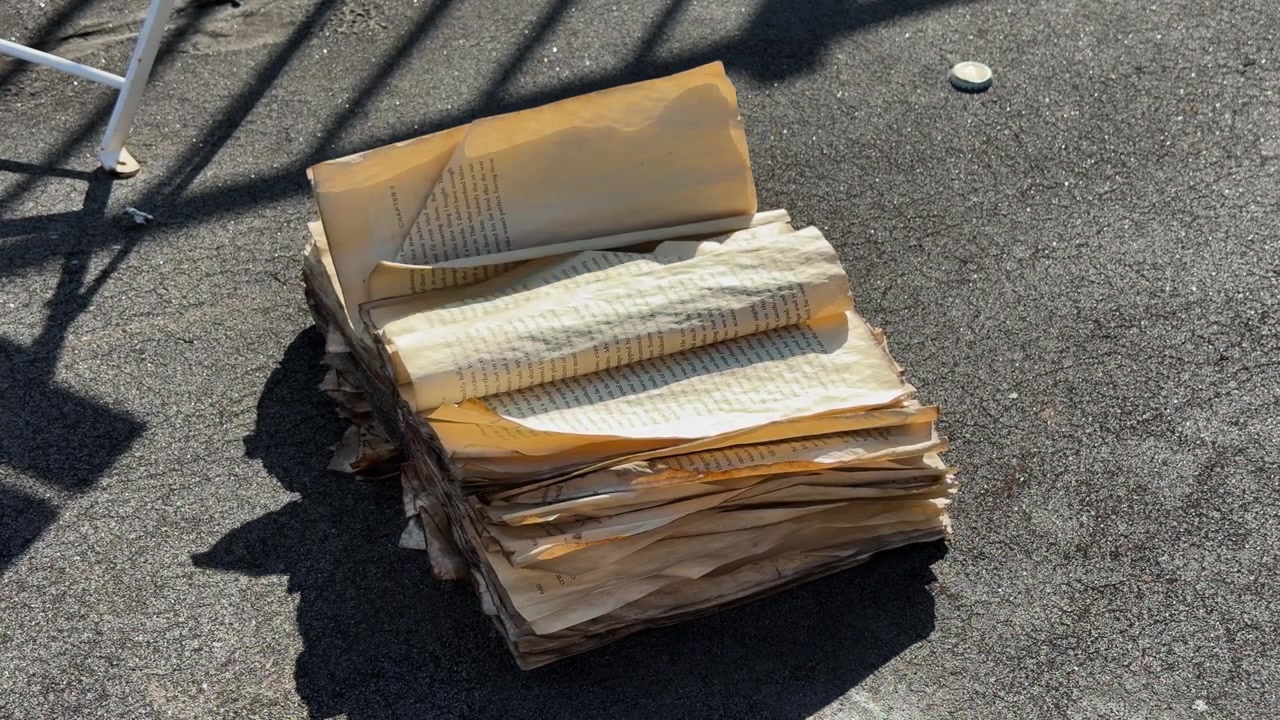 A weathered book with torn pages sits open on sunlit urban rooftop asphalt