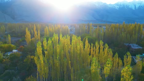 captivating aerial view of skardu valley lush greenery , with golden trees and winding paths among majestic mountains, perfect for nature lovers and travelers