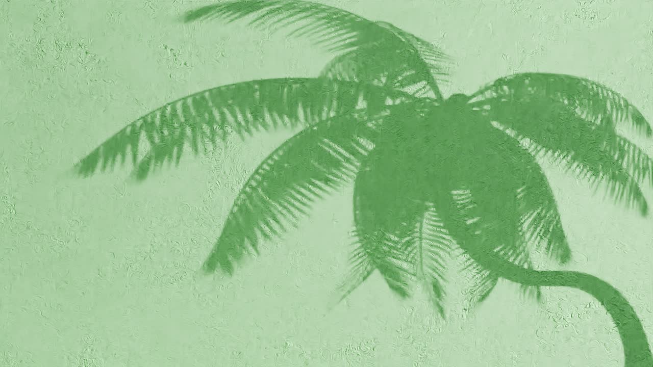 Palm tree shadow on textured green wall. Tropical silhouette concept