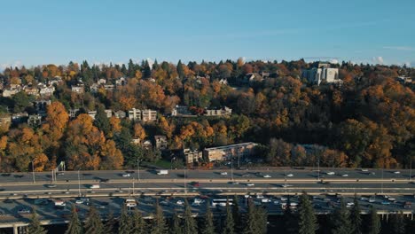 aerial pan across vibrant orange red fall colored trees lining traffic and busy highway in seattle washington