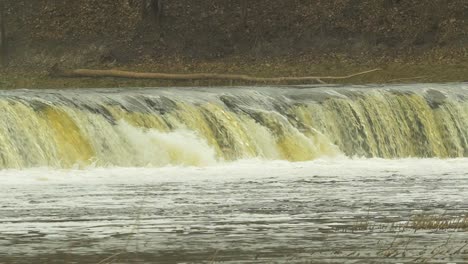 Vimba-Fisch-In-Kuldiga,-Mittlere-Zeitlupenaufnahme-Aus-Der-Ferne