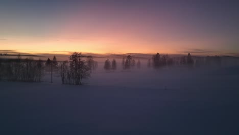 snow-covered landscape at dawn with fog and silhouetted trees near sundsvall, sweden