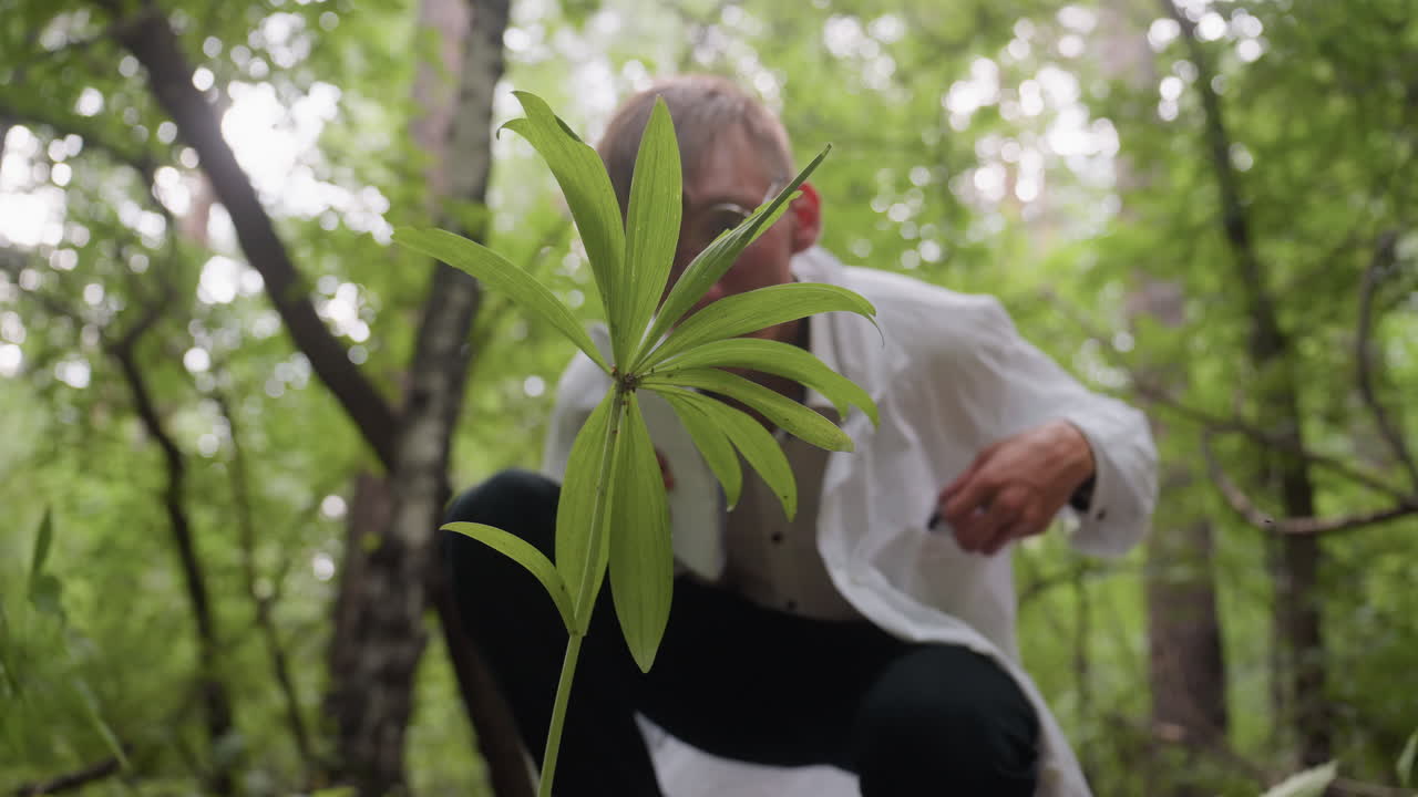 Ecologist in white coat holding jotter bending down to observe flower in forest, focusing on plant study with microscope, ecological research, and documentation of natural environment