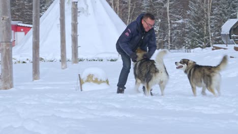 man playing and running with two huskies in the snow