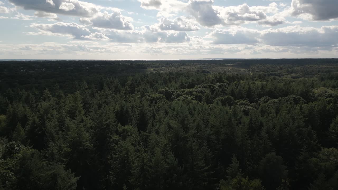Aerial shot pulling backwards over forest with sun and clouds
