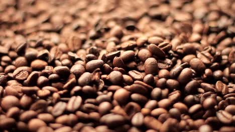 roasted brown coffee beans in a heap stock video