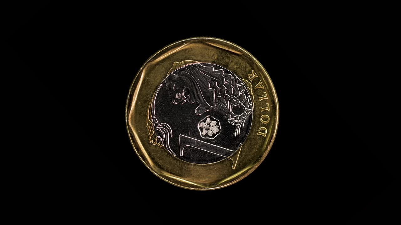 Singapore 1 dollar 2014 reverse showing lion-head motif, polygon border and denomination, macro loop on black background